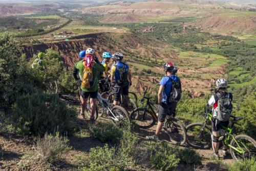 PICT: ALEXANDRE MARTIN